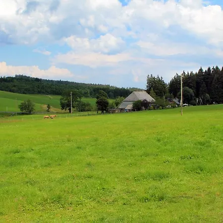 Schwarzwaldhof טיטיזי-נוישטאדט