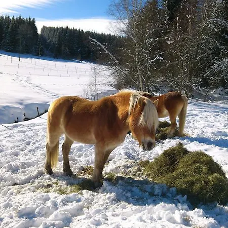 Schwarzwaldhof Titisee-Neustadt