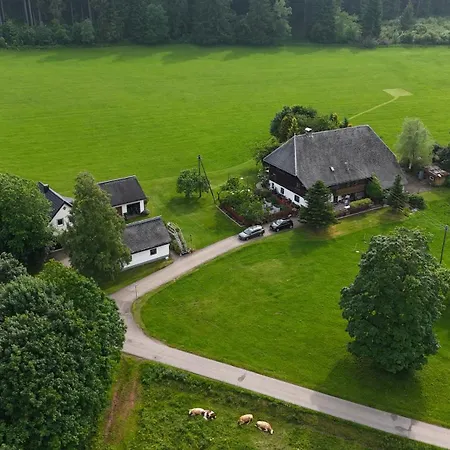 דירה Schwarzwaldhof טיטיזי-נוישטאדט