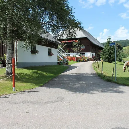 Schwarzwaldhof Titisee-Neustadt