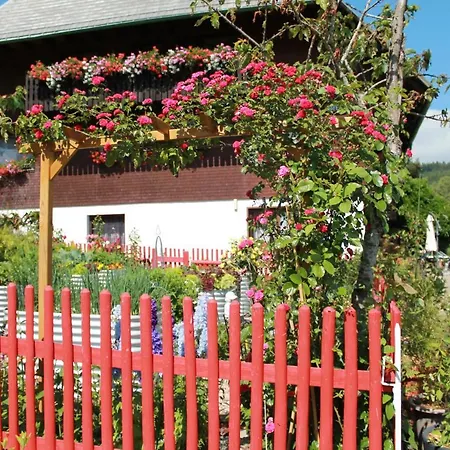 Schwarzwaldhof Appartement Titisee-Neustadt